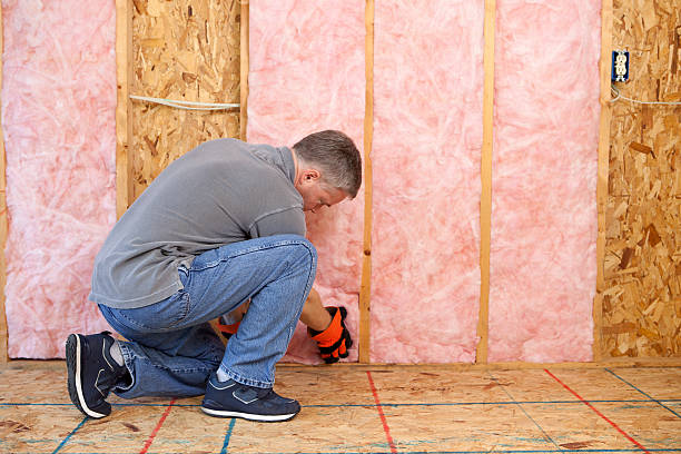 Best Soundproof Insulation  in Bishopville, SC